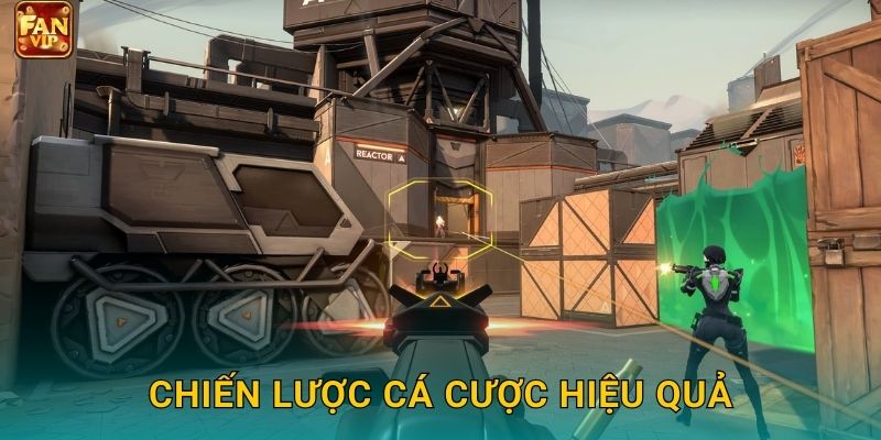 Chiến lược cá cược hiệu quả